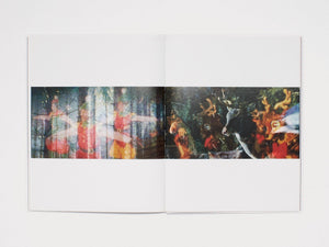 Marine Hugonnier - Antenne Books