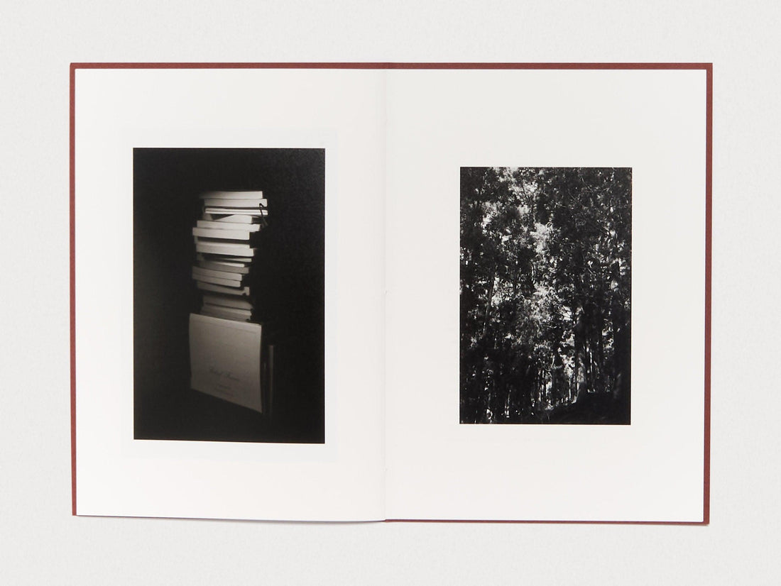 Epiphany - Antenne Books