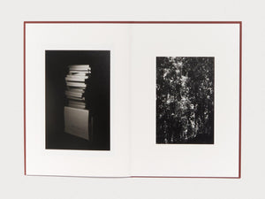 Epiphany - Antenne Books