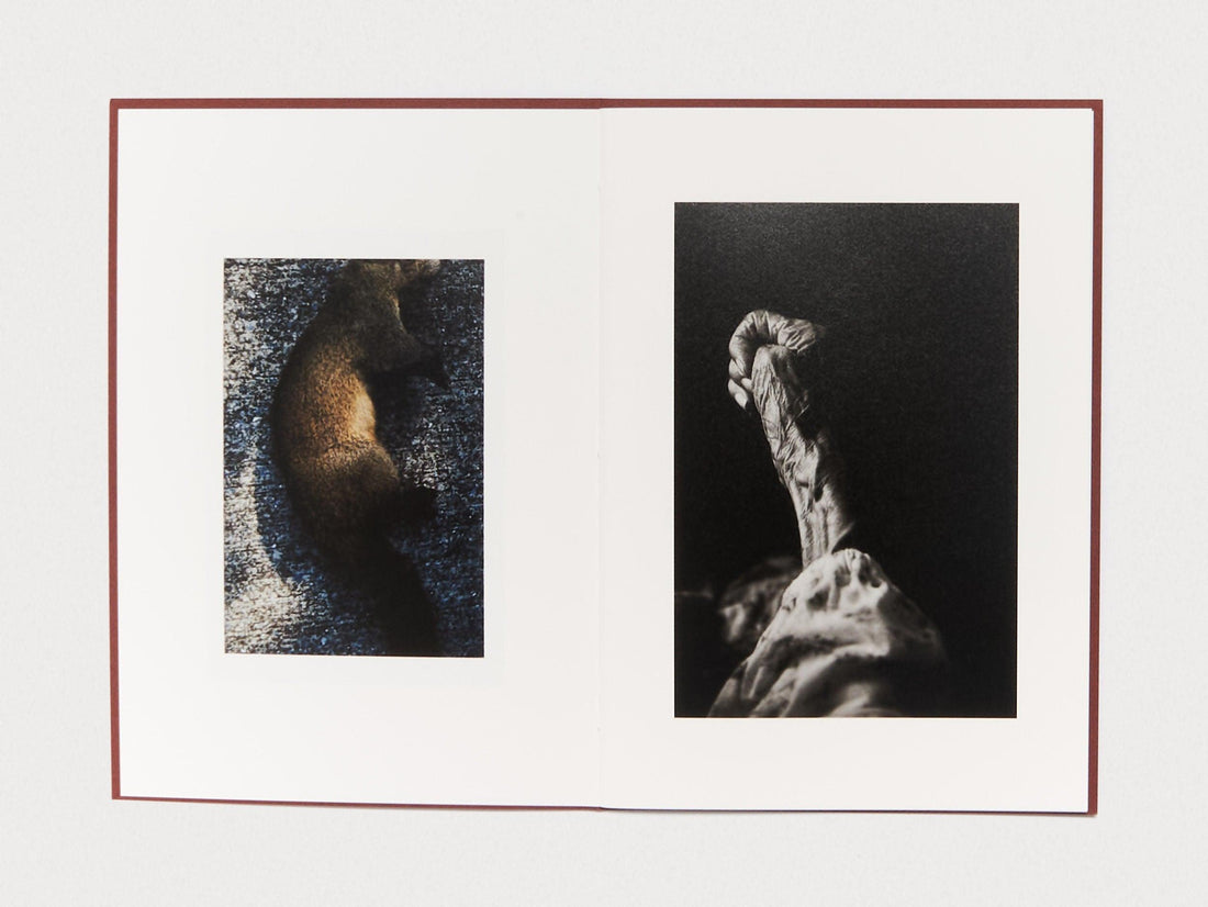 Epiphany - Antenne Books