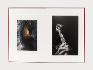 Epiphany - Antenne Books