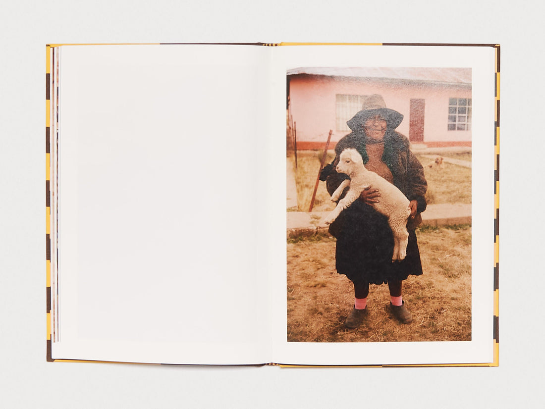 ANDEAN EXPLORER