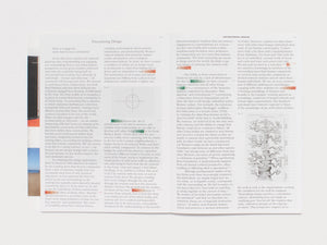 Practice in a More-than-human World