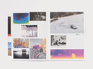 Practice in a More-than-human World