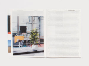 Practice in a More-than-human World