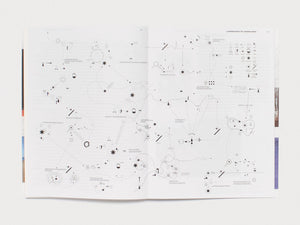 Practice in a More-than-human World