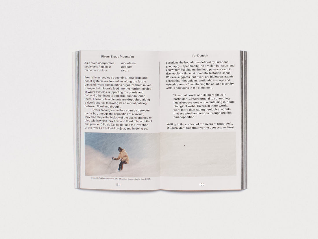 The Mountain Speaks to the Sea