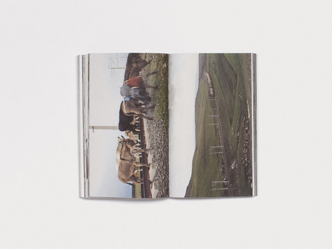 The Mountain Speaks to the Sea