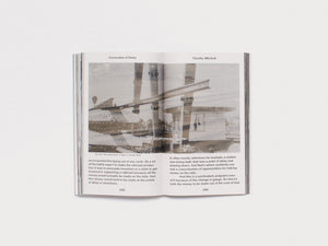 The Mountain Speaks to the Sea