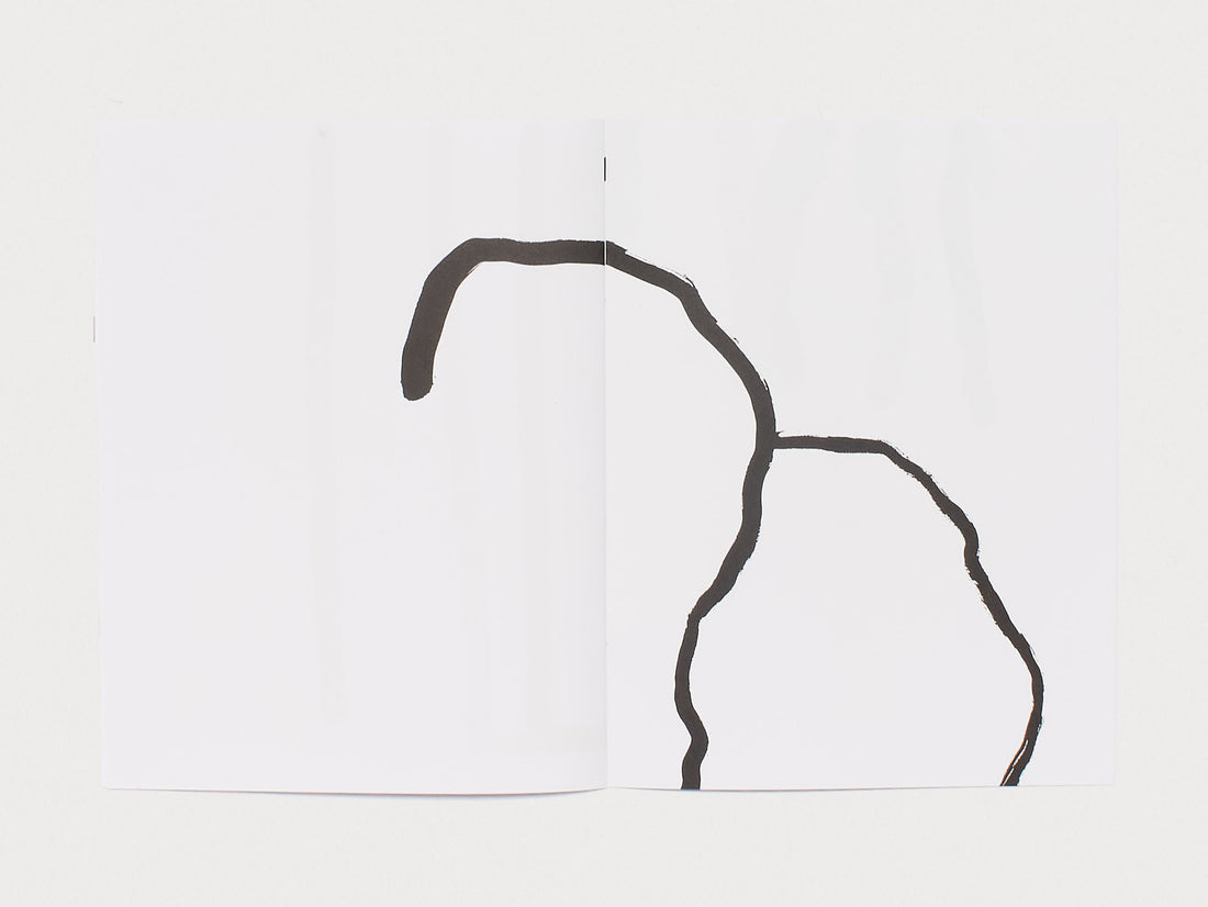 The Drawings