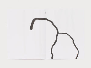 The Drawings
