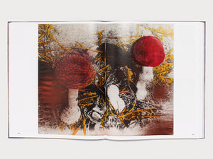 Beneath the Cobblestones, the Earth