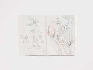 In the Sunset – There Is Life – It Shines on Us