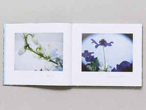 Photographs - Antenne Books