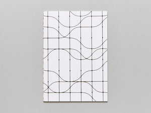 Blind Landing Experimental Unit