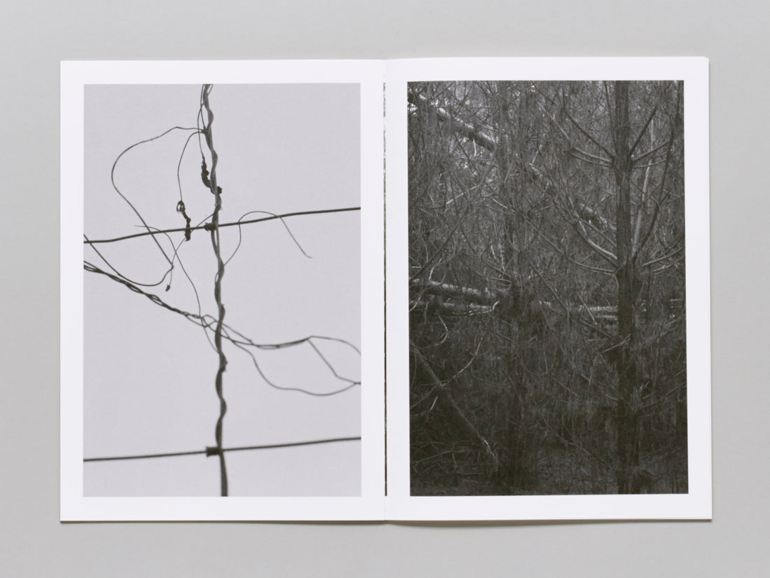 Blind Landing Experimental Unit