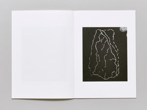 Blind Landing Experimental Unit