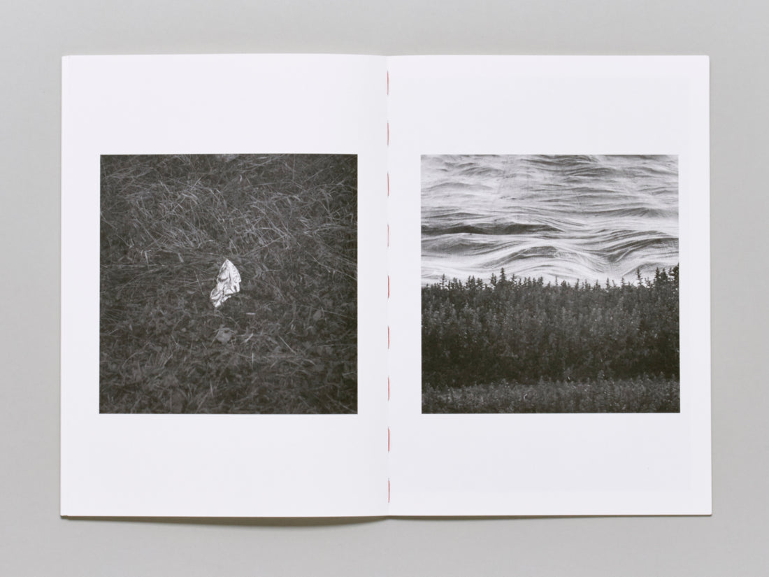 Blind Landing Experimental Unit