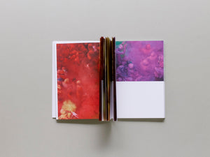 Ensembles Assembled: In Full Color - Antenne Books