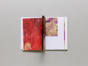 Ensembles Assembled: In Full Color - Antenne Books