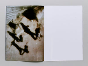 Two Donkeys in a War Zone - Antenne Books