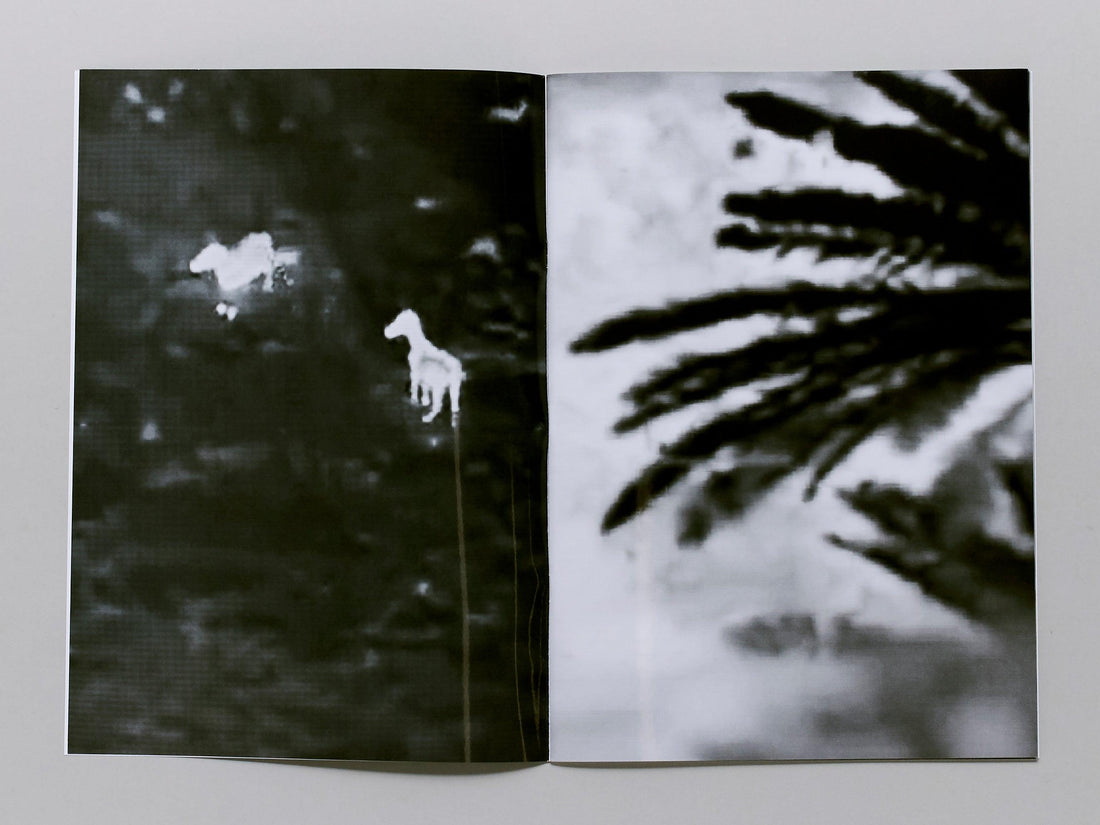 Two Donkeys in a War Zone - Antenne Books