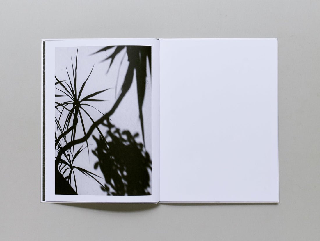 Büropflanze (office plant) - Antenne Books