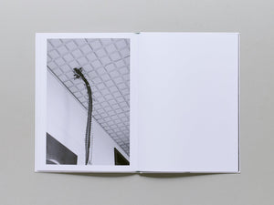 Büropflanze (office plant) - Antenne Books