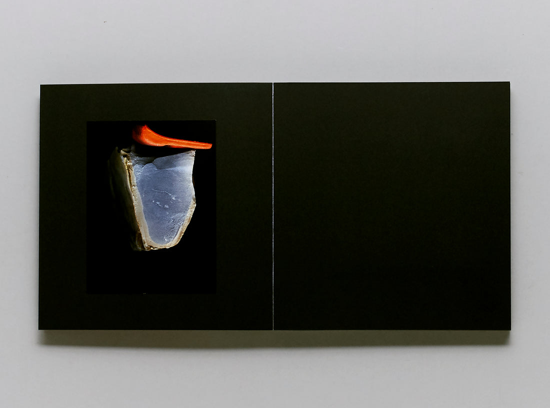 A Certain Collector B