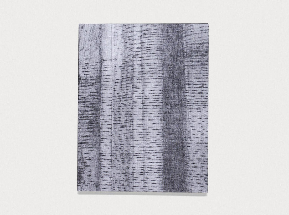 The lasting one, that didn’t last, that still lasts - Antenne Books