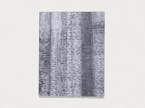 The lasting one, that didn’t last, that still lasts - Antenne Books