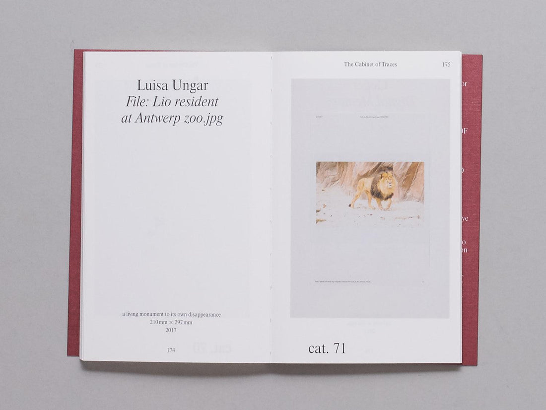 The Cabinet of Traces - Antenne Books