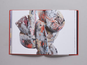 Cross Examination - Antenne Books