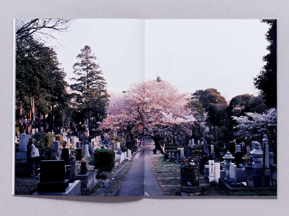 Hanami | Aoyama