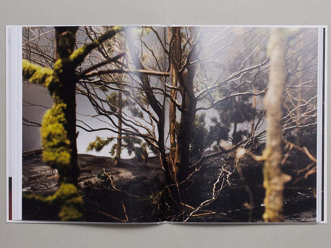 IT’S ALIVE! A travers l’œuvre de Gisèle Vienne: A travers l'oeuvre de Gisele Vienne - Antenne Books