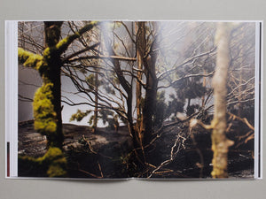 IT’S ALIVE! A travers l’œuvre de Gisèle Vienne: A travers l'oeuvre de Gisele Vienne - Antenne Books