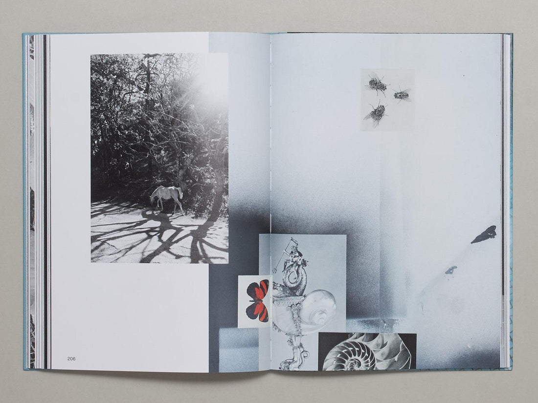 Widersprüchliche Bewegungsreize - Antenne Books