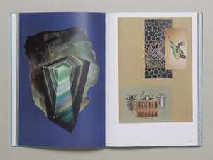 Widersprüchliche Bewegungsreize - Antenne Books