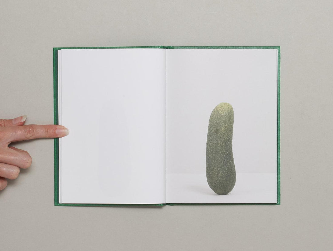 Self-Portrait as 47 Pickles - Antenne Books
