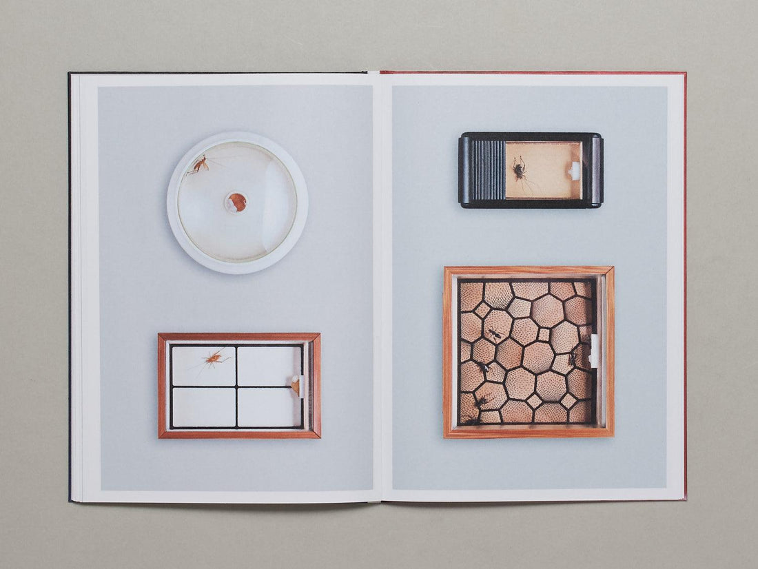 Crickets - Antenne Books