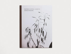 Depreciating Assets - Antenne Books