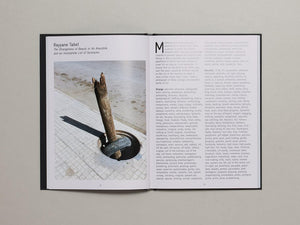 The Strangeness of Beauty - Antenne Books