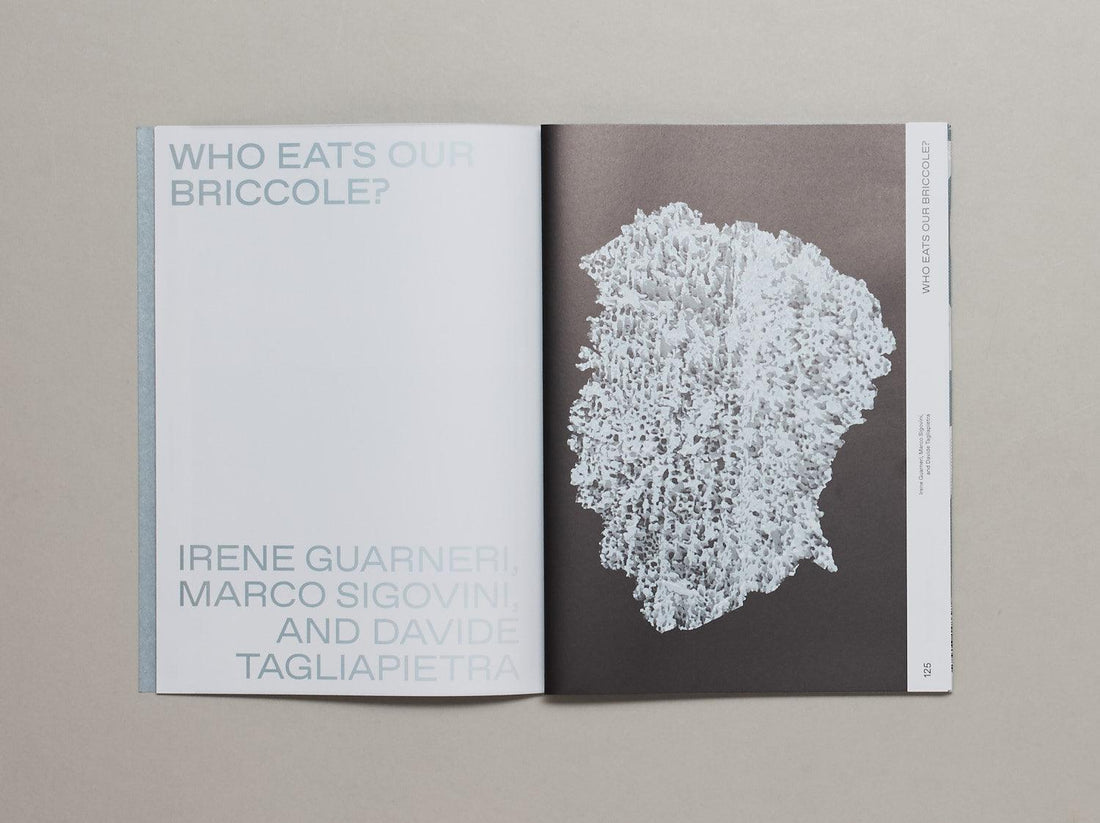 Shallow Waters: Shifting geographies of two extreme urban deltas - Antenne Books