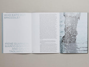 Shallow Waters: Shifting geographies of two extreme urban deltas - Antenne Books