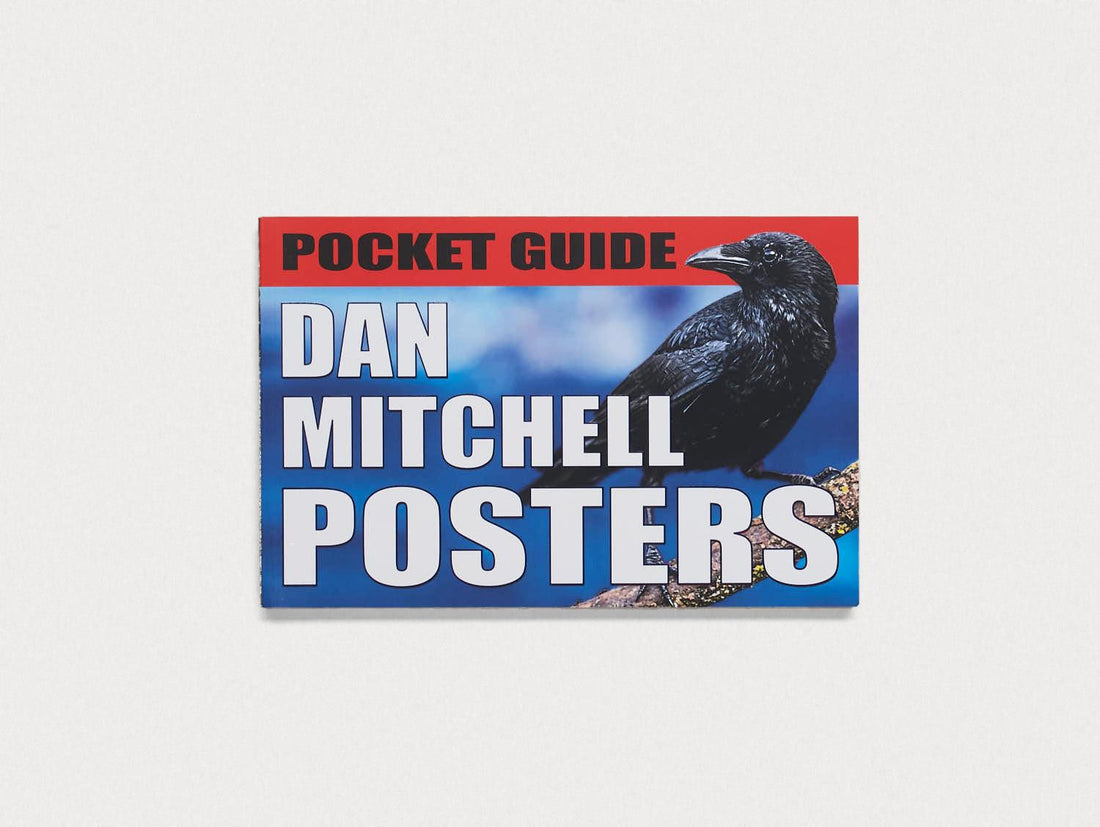 Pocket Guide: Dan Mitchell Posters - Antenne Books