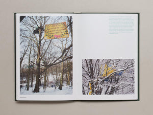 Until the Last Oak Falls - Antenne Books