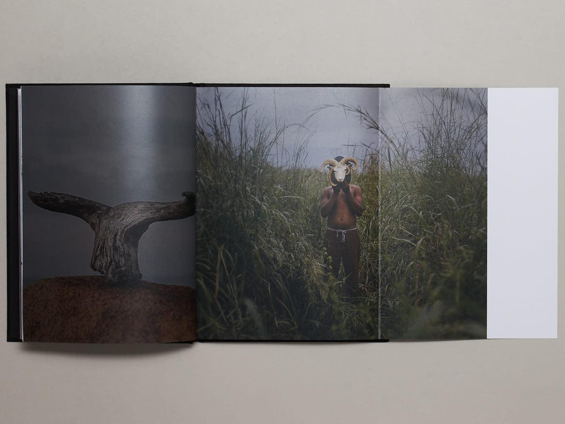 El Cimarron y su Fandango - Antenne Books