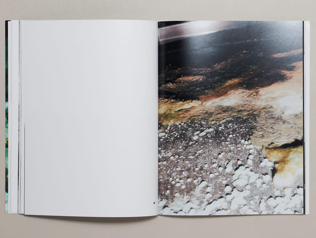 DORM - Antenne Books