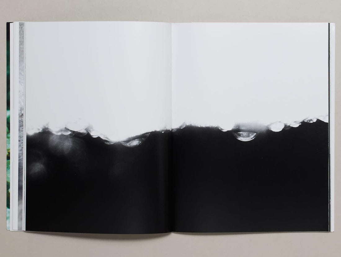 DORM - Antenne Books