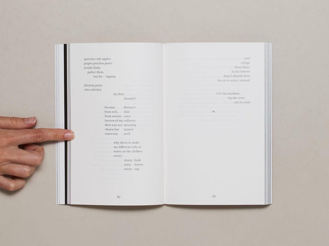 Americón - Antenne Books